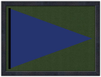 Custom CHRIS CITRARO Dark Walnut Color Flag Frame 20x27 (Moulding blk-006, Fairway Green Mat)
